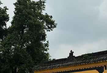 文殊坊第 73 张图片