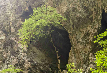 金丝峡景区第 29 张图片