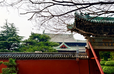 隆兴寺第 52 张图片