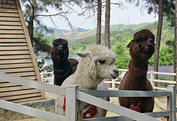 长兴城山沟景区第 70 张图片