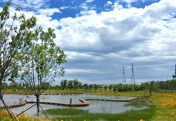 北京温榆河公园第 28 张图片