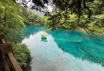 九寨沟风景区第 507 张图片
