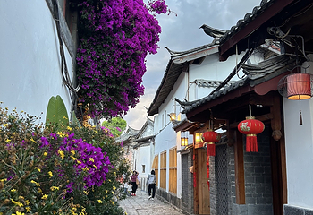 丽江古城第 109 张图片