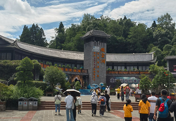 织金洞第 165 张图片