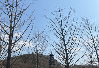 牛首山文化旅游区第 619 张图片