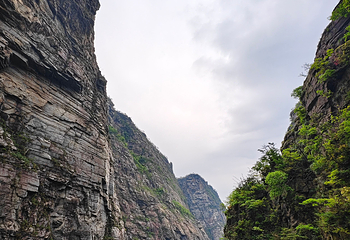 庐山风景名胜区第 240 张图片