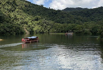 鼎湖山第 51 张图片