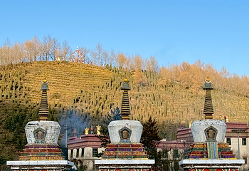 塔尔寺第 102 张图片