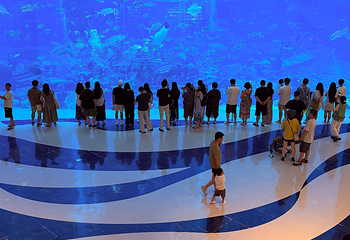 三亚亚特兰蒂斯失落的空间水族馆第 194 张图片