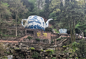 蒙顶山第 75 张图片