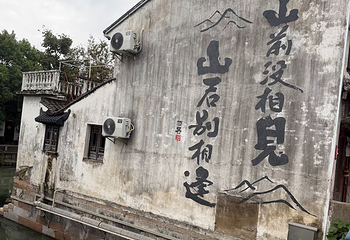 枫泾古镇第 166 张图片