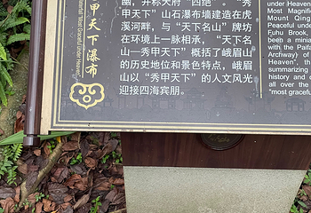 峨眉山第 226 张图片
