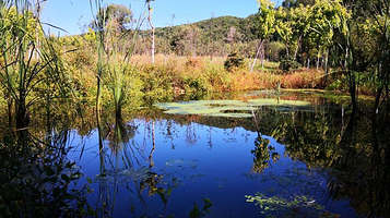 寒葱顶国家森林公园