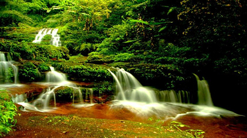 燕子岩国家森林公园