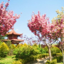 庄浪县水上公园