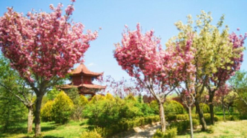 庄浪县水上公园