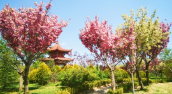 庄浪县水上公园