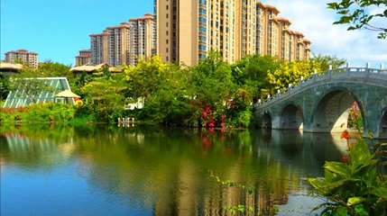 清水湾中央公园第 1 张图片