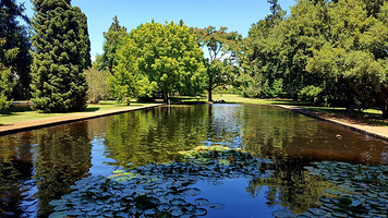 Salmon Ponds Heritage Hatchery and Gardens