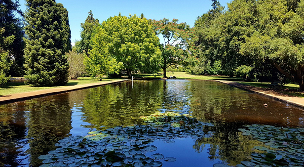 Salmon Ponds Heritage Hatchery and Gardens