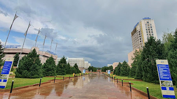 Unikal'naya Kedrovaya Alleya V Kampuse Kazgu