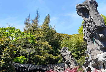 留园第 62 张图片