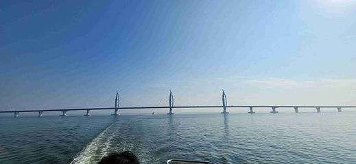 海上看港珠澳大桥第 22 张图片
