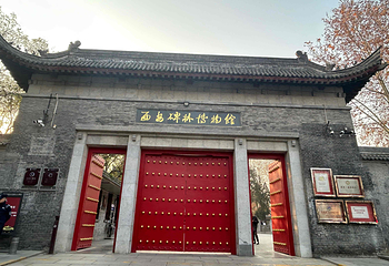 西安碑林博物馆第 70 张图片