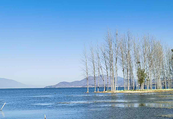 洱海第 77 张图片