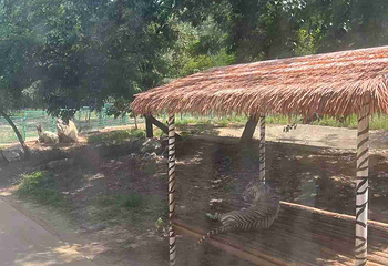 西安秦岭野生动物园第 77 张图片