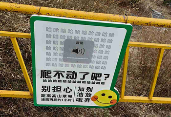 朱雀国家森林公园第 28 张图片