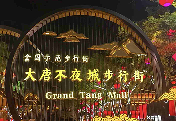 大唐不夜城第 165 张图片