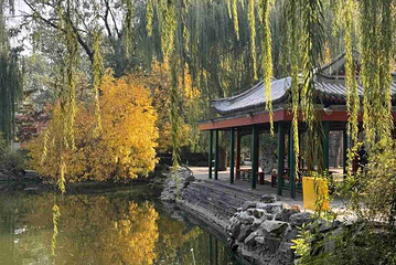 北京动物园第 32 张图片