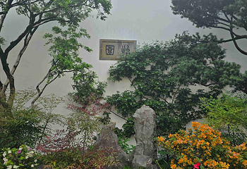 怡园第 45 张图片