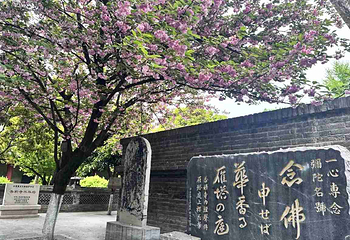 香积寺第 33 张图片