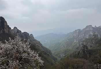白石山世界地质公园第 151 张图片