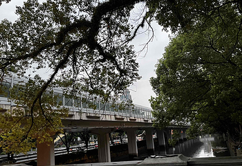 沙面第 47 张图片
