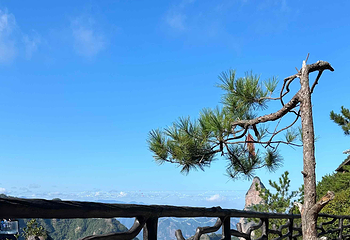 神仙居第 173 张图片