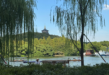 西湖观光游览车第 36 张图片