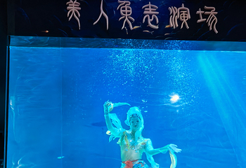 海合安青岛极地海洋公园第 187 张图片