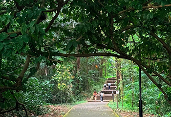 花柏山公园第 151 张图片