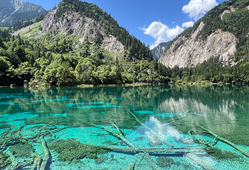 九寨沟风景区第 80 张图片