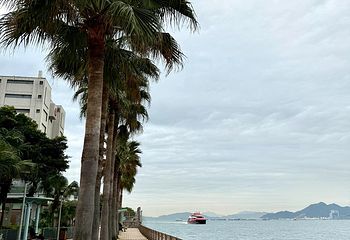 香港港澳码头第 96 张图片