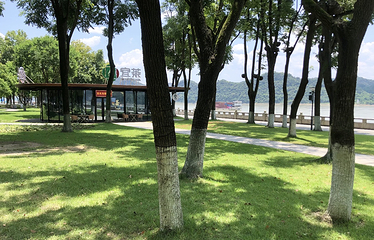 滨江公园第 39 张图片