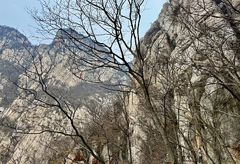 嵩山少林景区第 138 张图片