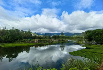 宏村景区第 371 张图片