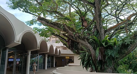 新加坡国立大学第 62 张图片