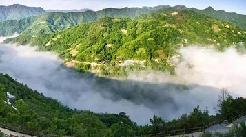 龙青山