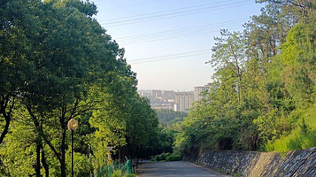 九仙岭森林公园