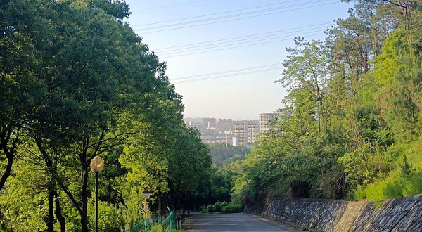 九仙岭森林公园